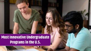 Undergraduate Programs