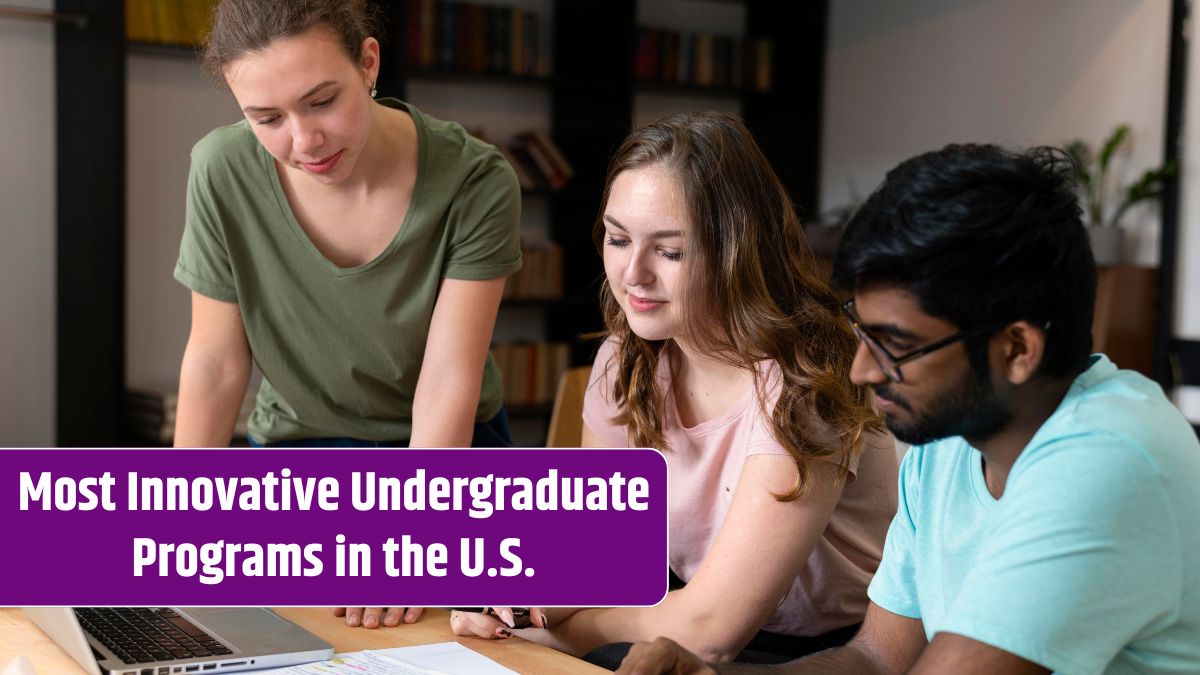 Undergraduate Programs